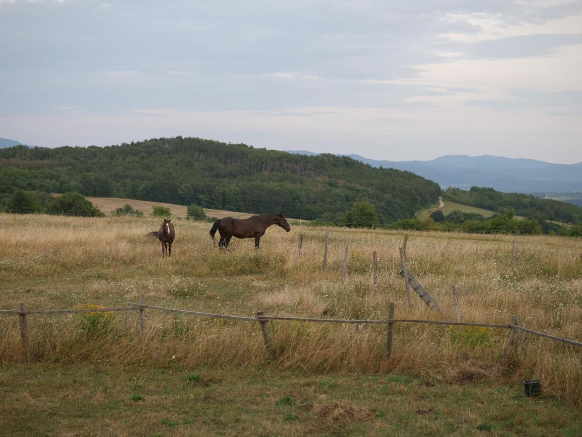 Selanka Off Road Hill View Ξενοδοχείο Moravske Lieskove Εξωτερικό φωτογραφία